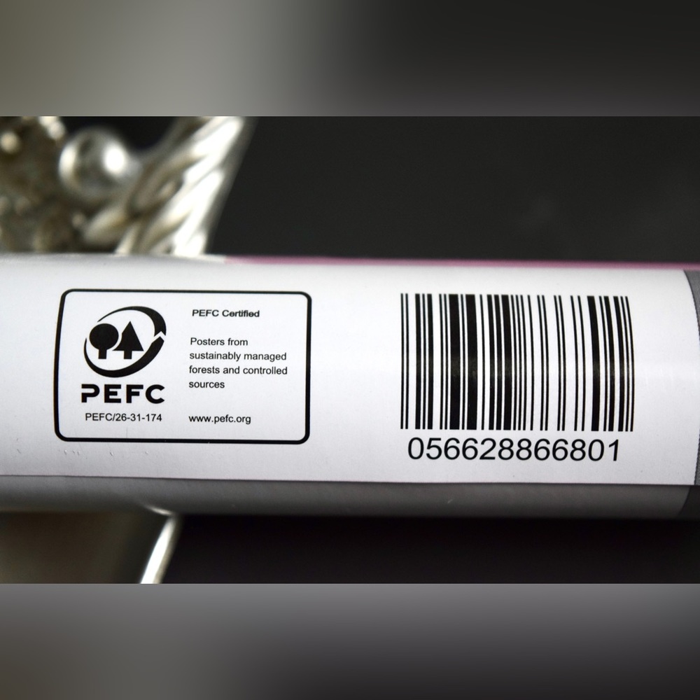 NEW Barbie The Movie Wall Poster Best Day Ever Mattel Margot Robbie Trends Decor - Picture 8 of 9